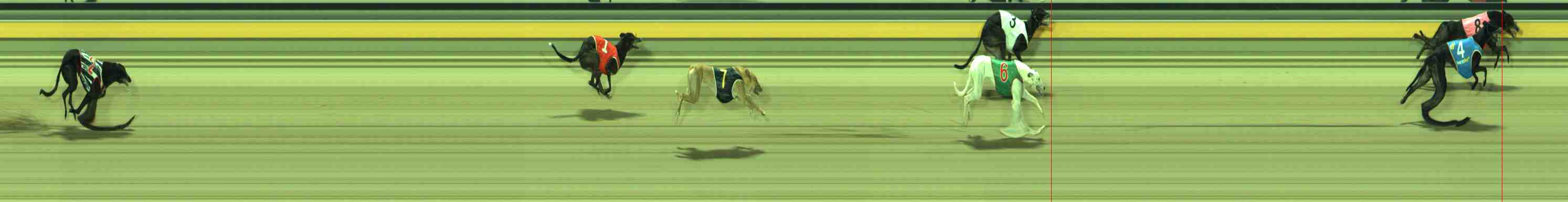 Photo finish for Sale Race 9
