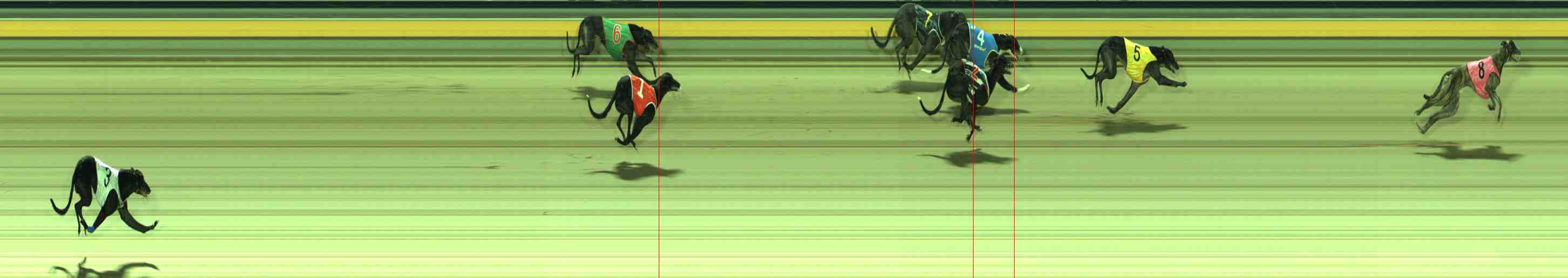 Photo finish for Sale Race 10