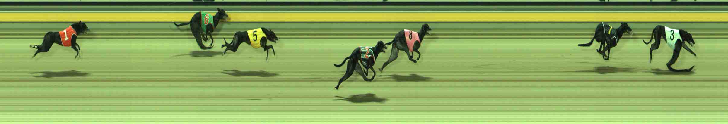 Photo finish for Sale Race 11