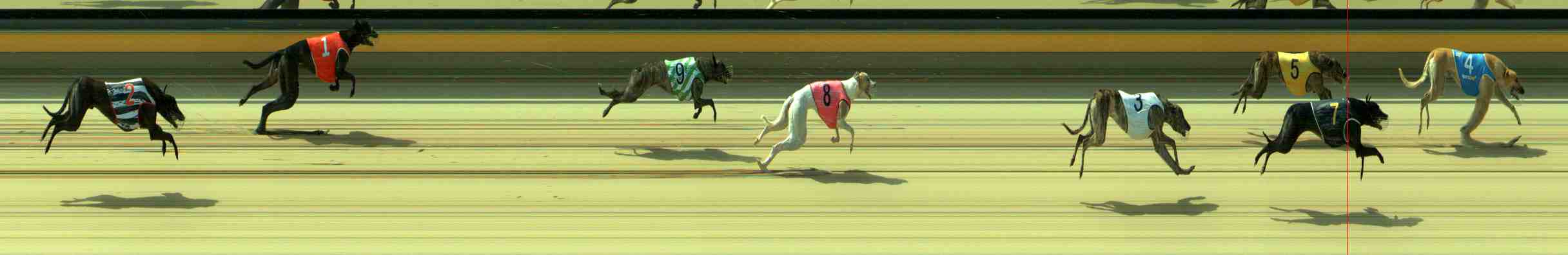 Photo finish for Sale Race 2