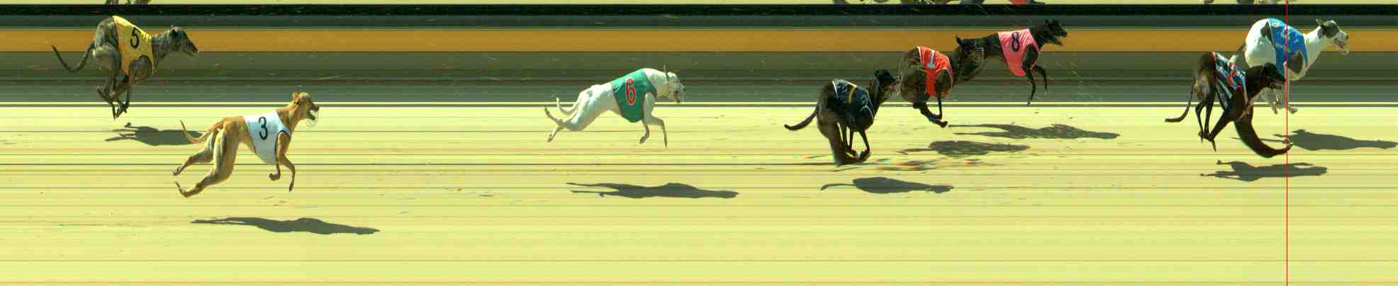 Photo finish for Sale Race 4
