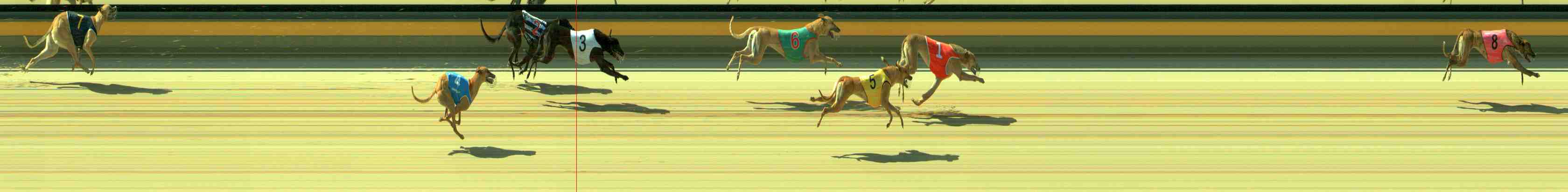 Photo finish for Sale Race 5