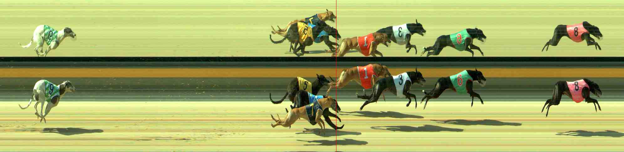 Photo finish for Sale Race 6