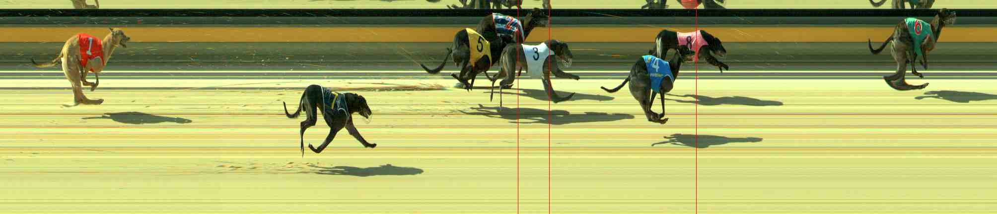 Photo finish for Sale Race 7