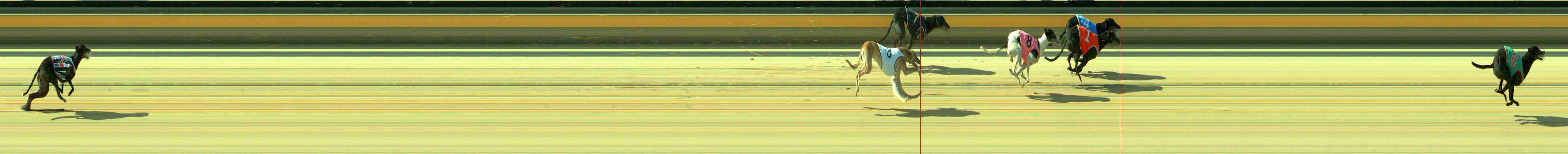 Photo finish for Sale Race 8
