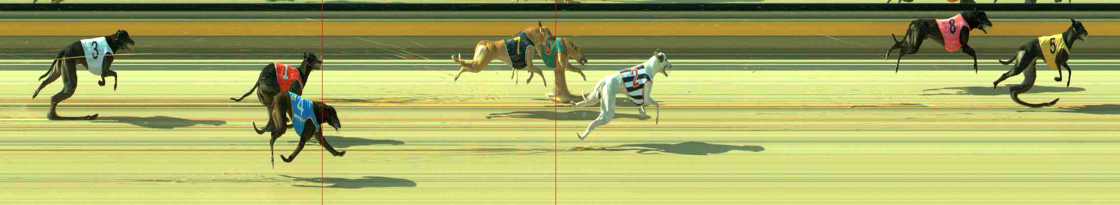Photo finish for Sale Race 9