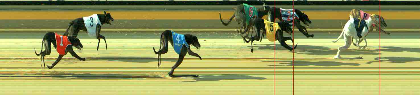 Photo finish for Sale Race 10