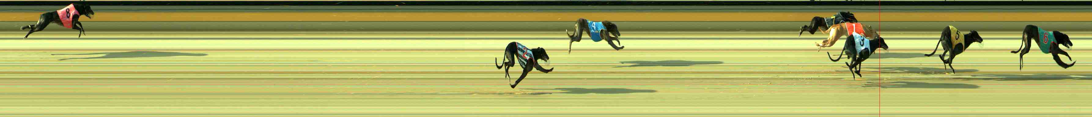 Photo finish for Sale Race 11