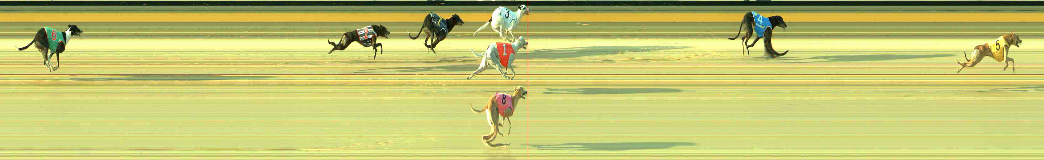 Photo finish for Sale Race 12
