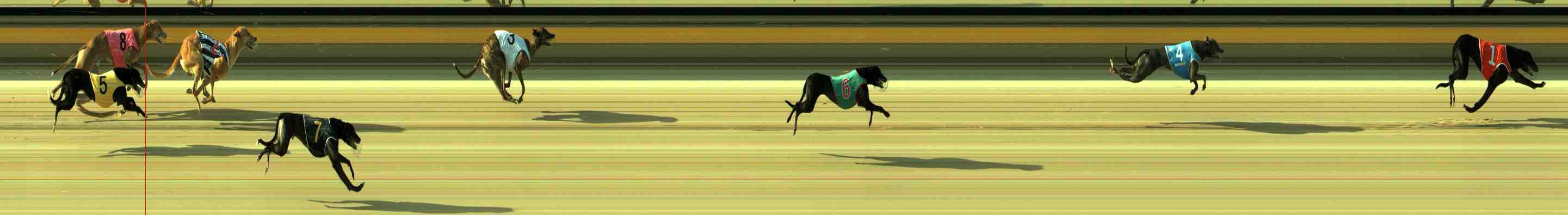 Photo finish for Sale Race 2
