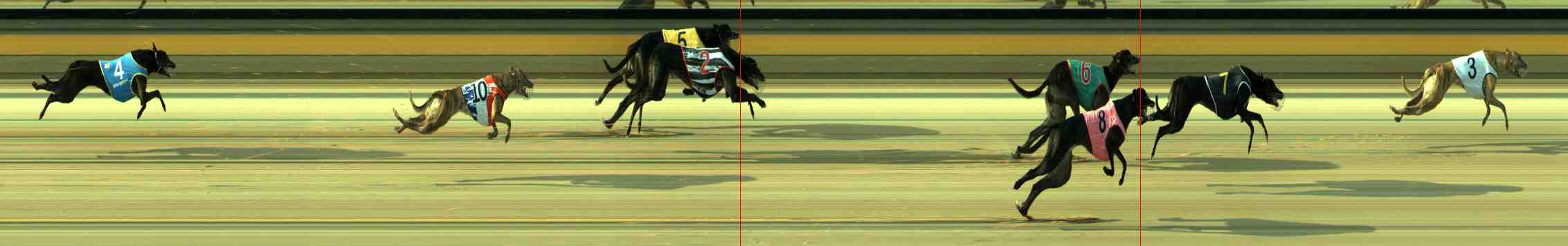 Photo finish for Sale Race 3