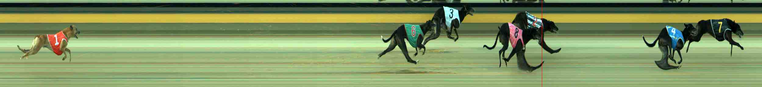 Photo finish for Sale Race 4
