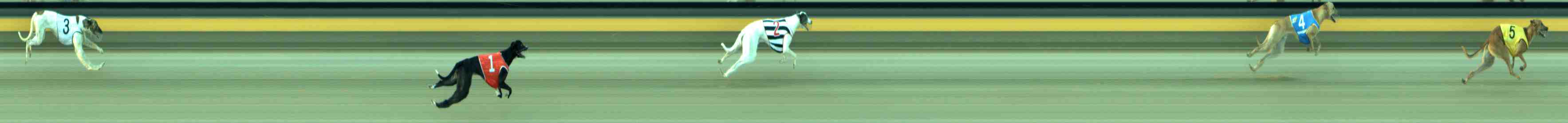 Photo finish for Sale Race 5