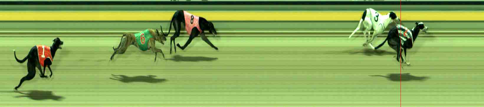 Photo finish for Sale Race 7