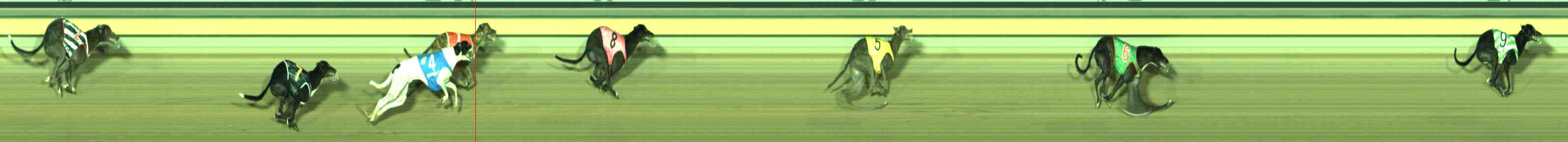 Photo finish for Sale Race 8