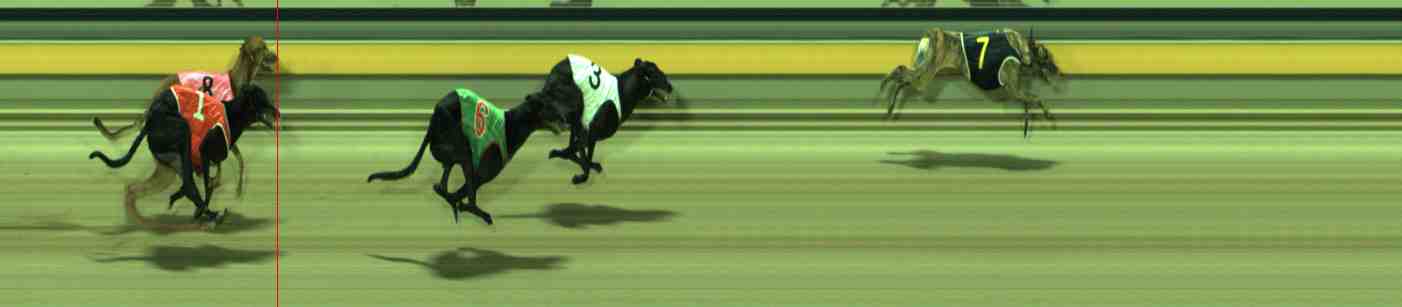 Photo finish for Sale Race 9