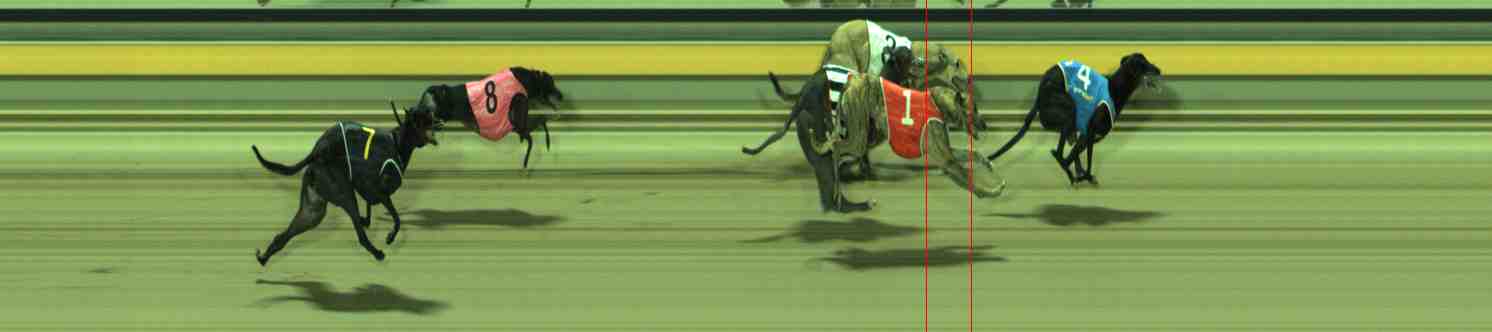 Photo finish for Sale Race 10