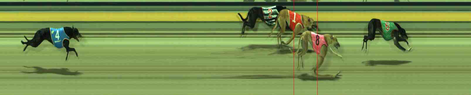 Photo finish for Sale Race 11