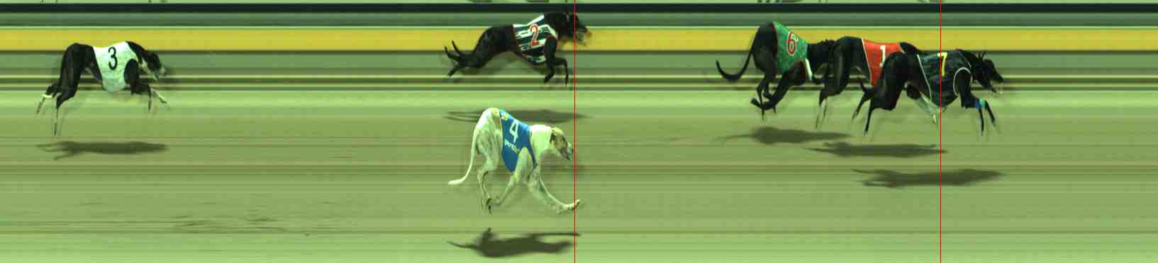 Photo finish for Sale Race 12