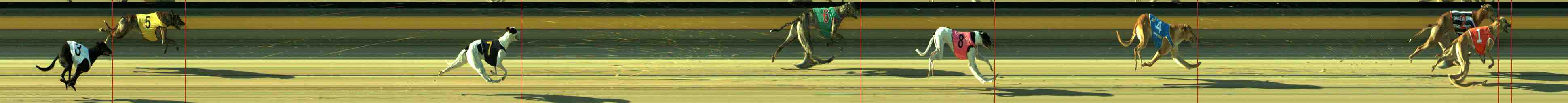 Photo finish for Sale Race 1