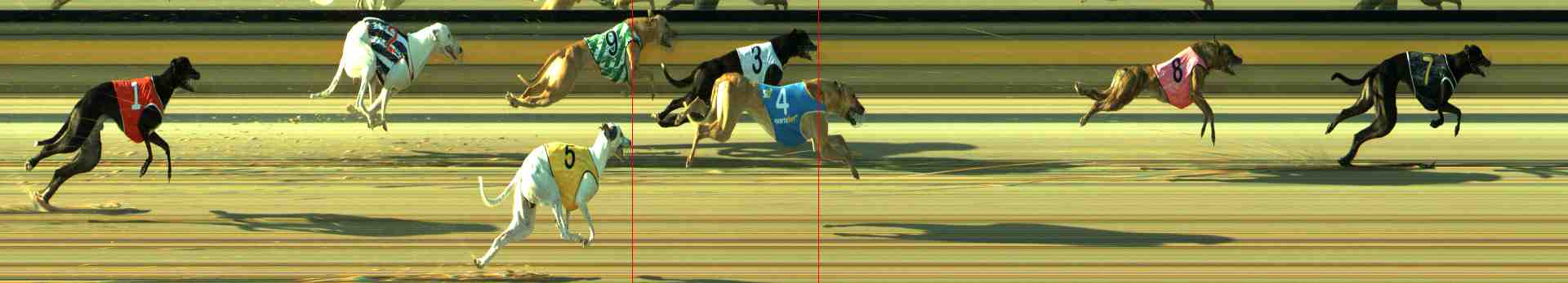Photo finish for Sale Race 2