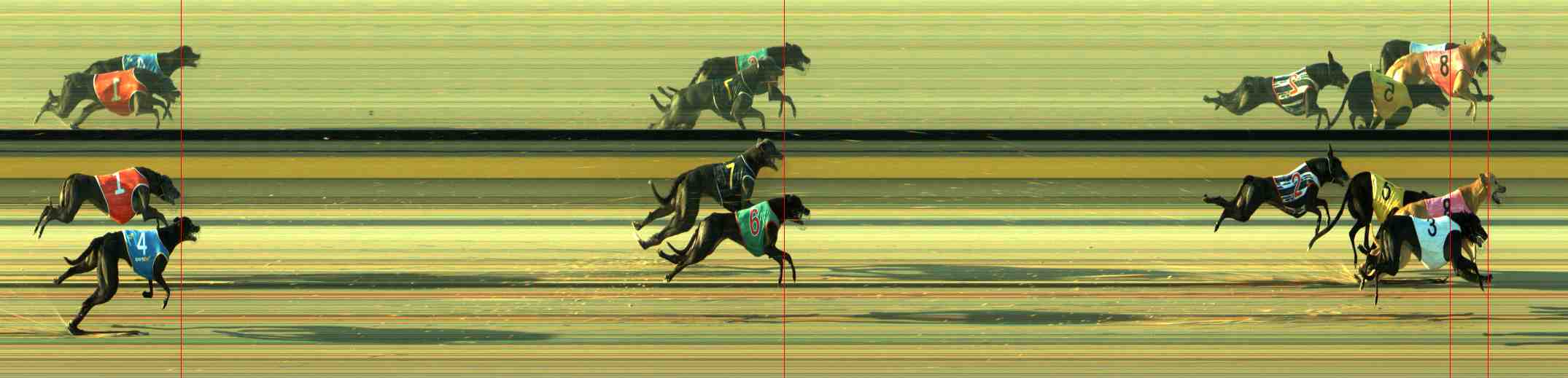 Photo finish for Sale Race 3