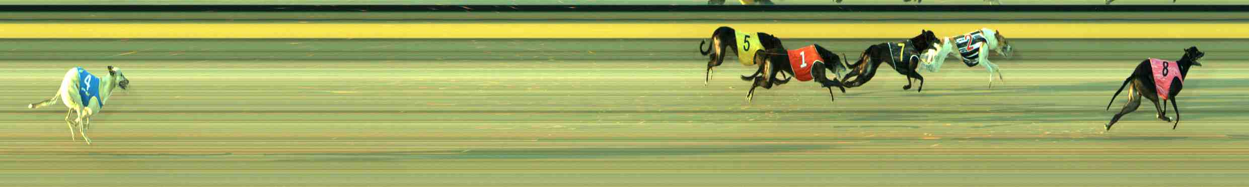 Photo finish for Sale Race 4