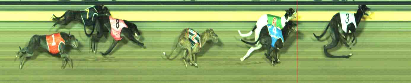 Photo finish for Sale Race 8