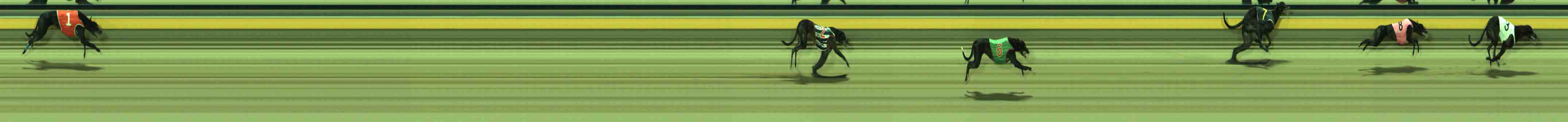 Photo finish for Sale Race 9