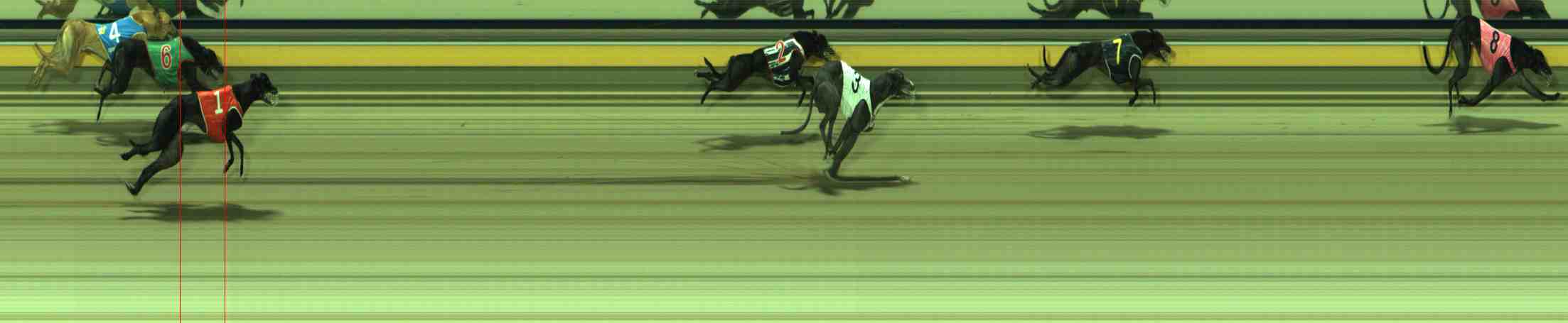 Photo finish for Sale Race 10