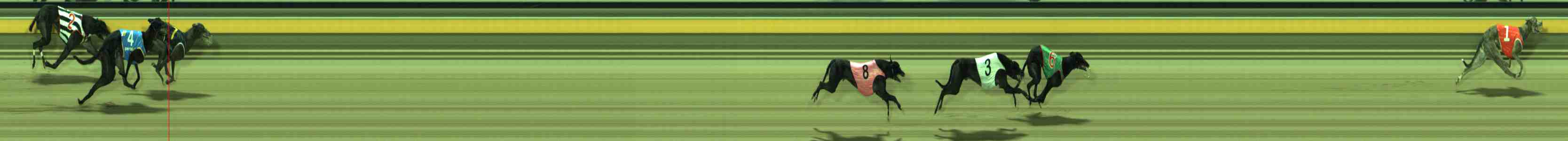 Photo finish for Sale Race 11