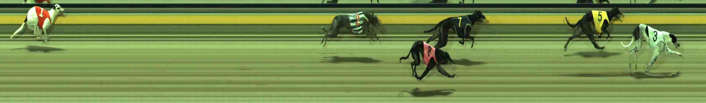 Photo finish for Sale Race 12