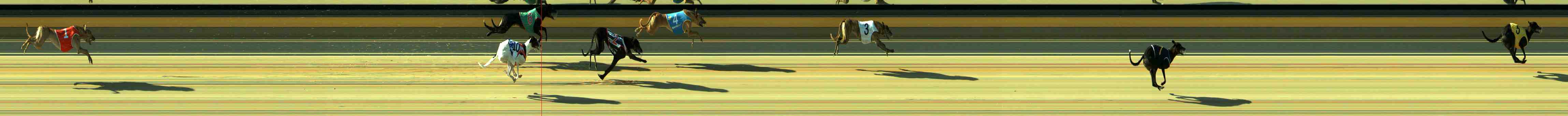Photo finish for Sale Race 1