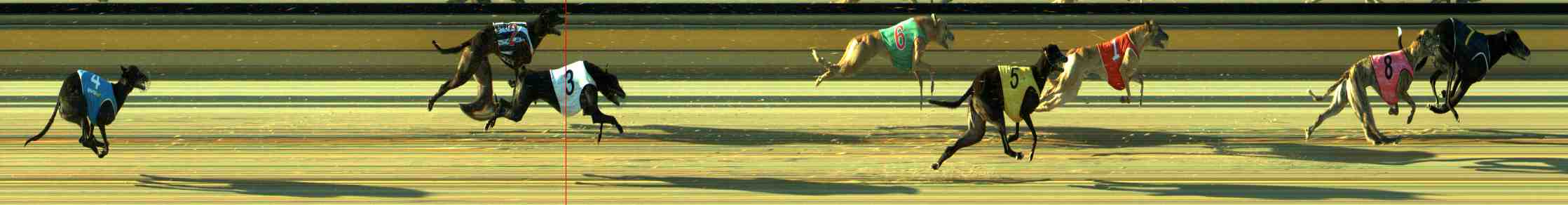Photo finish for Sale Race 3