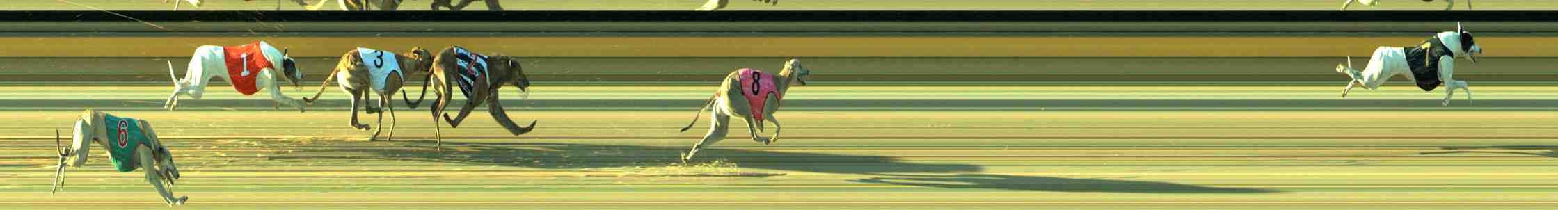 Photo finish for Sale Race 4