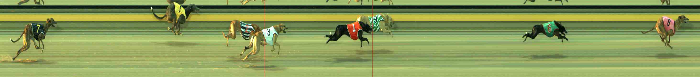 Photo finish for Sale Race 5