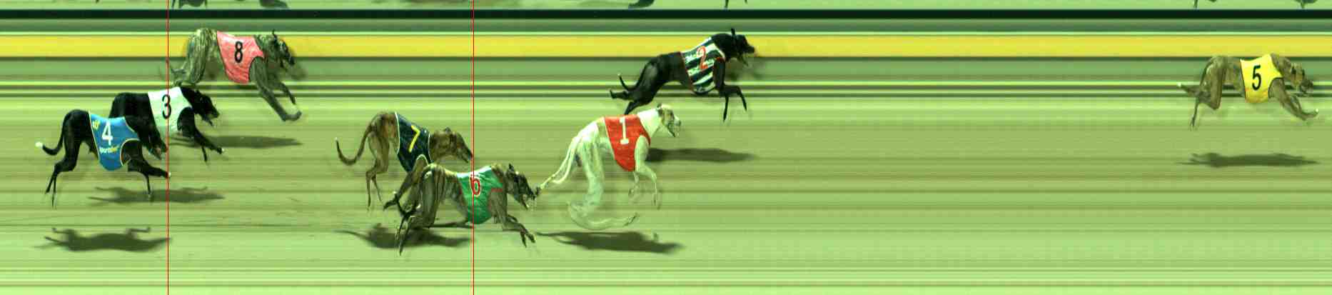 Photo finish for Sale Race 7