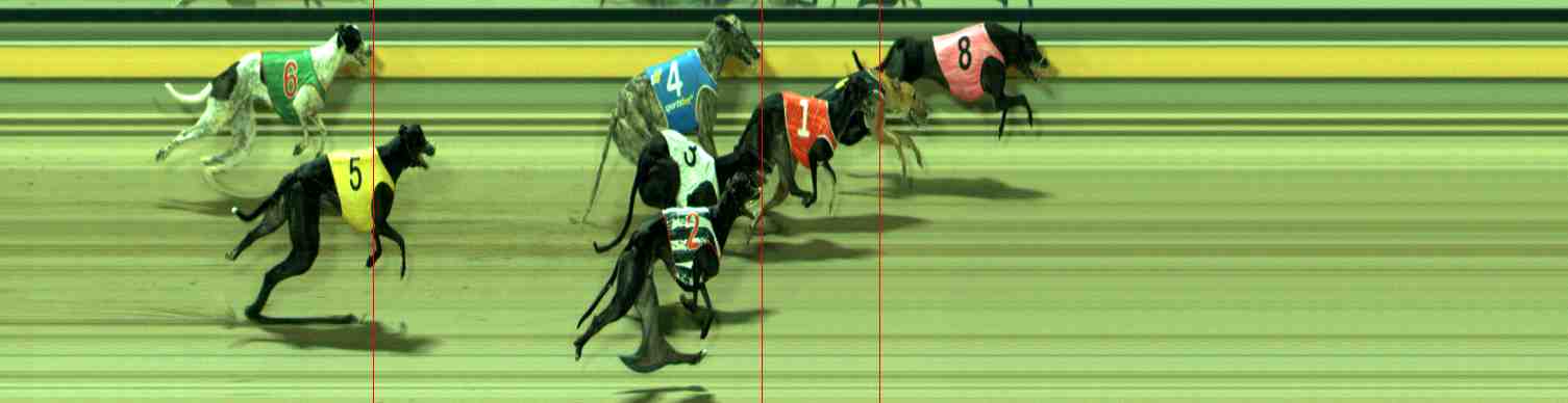 Photo finish for Sale Race 8