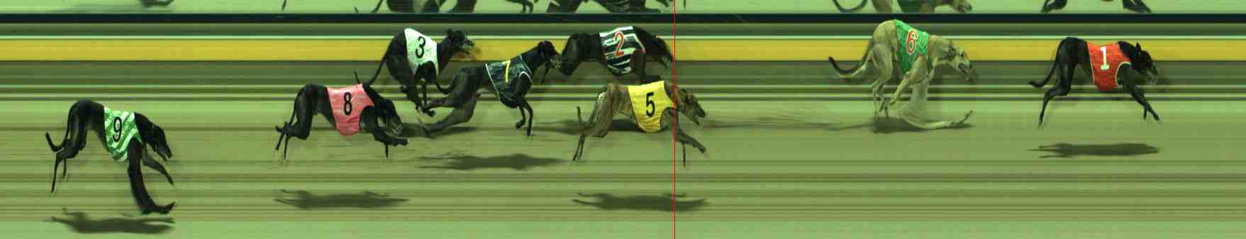 Photo finish for Sale Race 10
