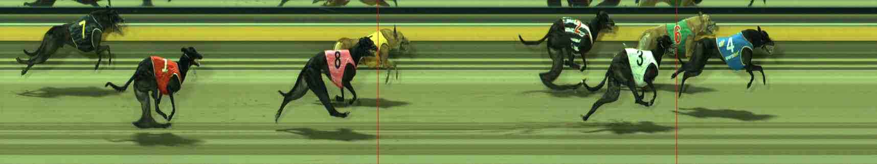 Photo finish for Sale Race 11