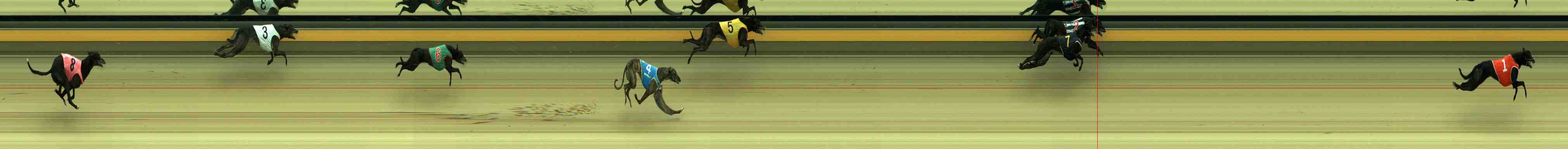Photo finish for Sale Race 1