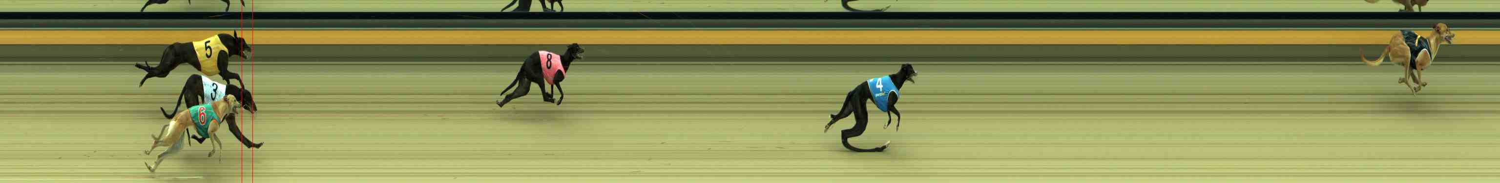 Photo finish for Sale Race 2