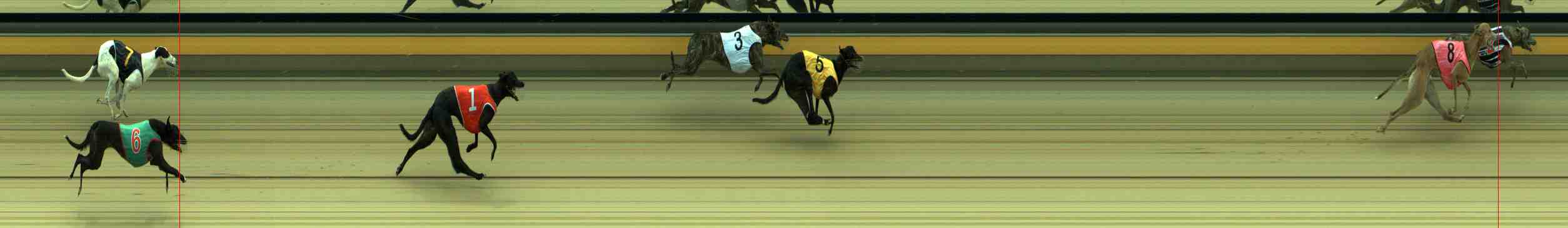 Photo finish for Sale Race 3