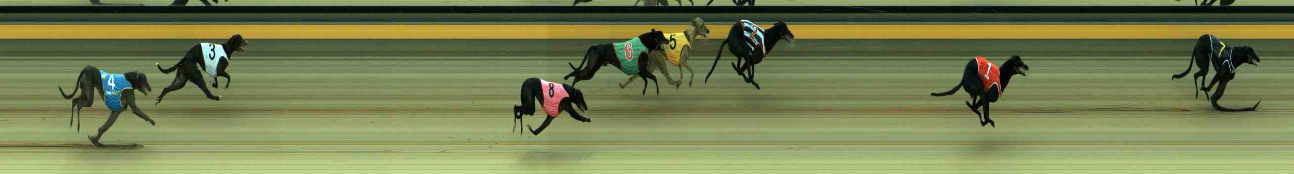 Photo finish for Sale Race 4