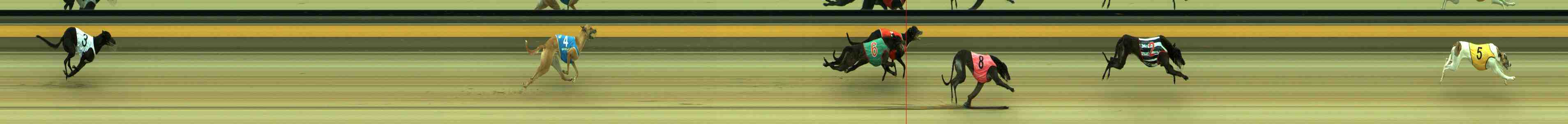 Photo finish for Sale Race 5