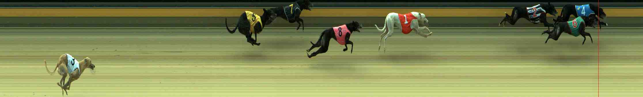 Photo finish for Sale Race 6