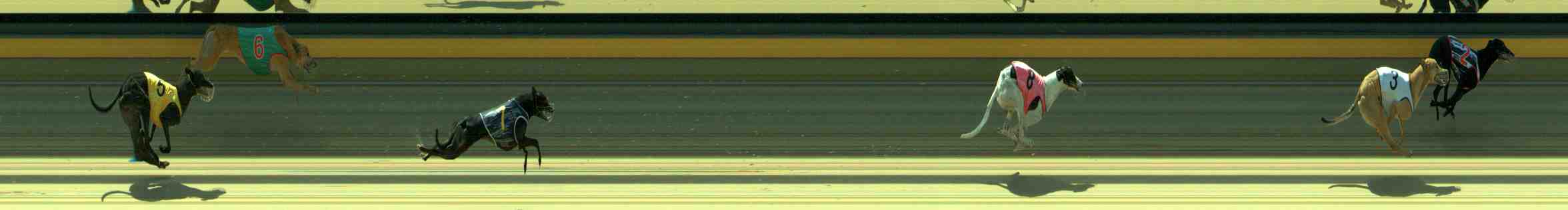 Photo finish for Sale Race 7