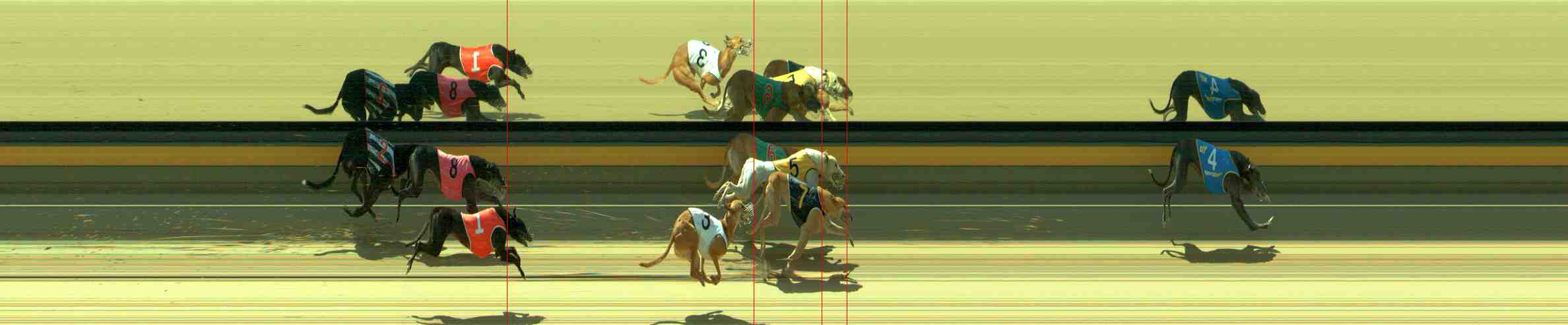 Photo finish for Sale Race 8