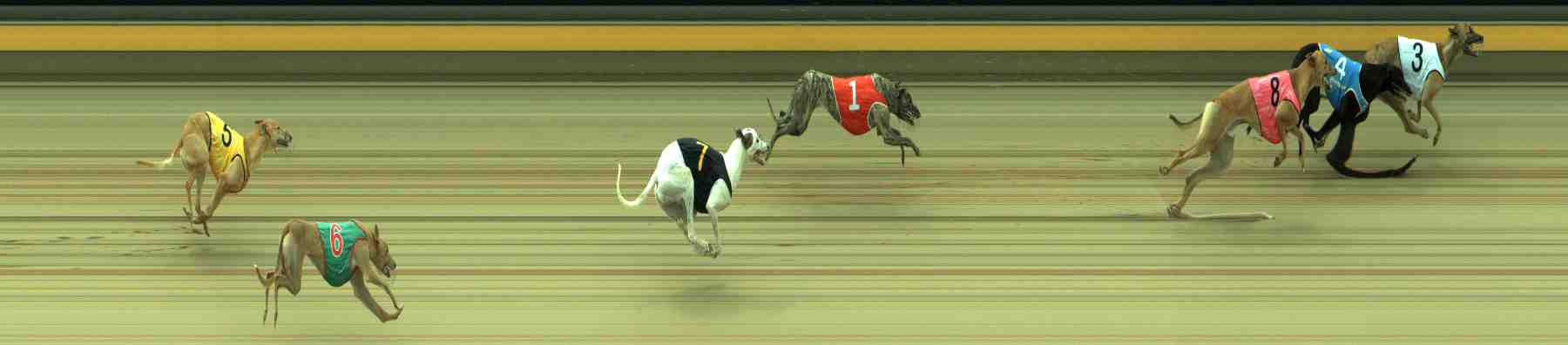Photo finish for Sale Race 9
