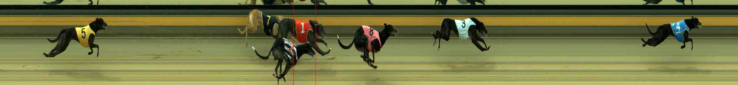 Photo finish for Sale Race 10